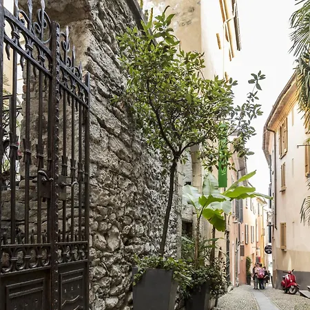 Da Gina Young By Interhome Apartment Ascona