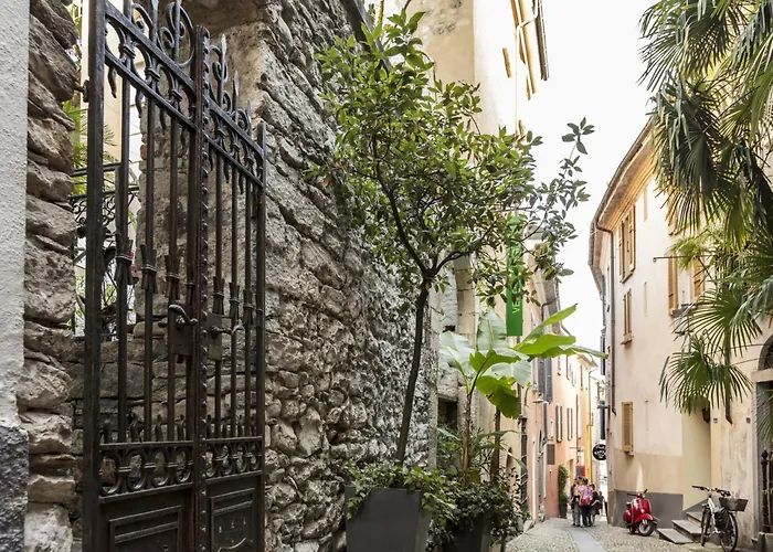 Da Gina Young By Interhome Apartment Ascona